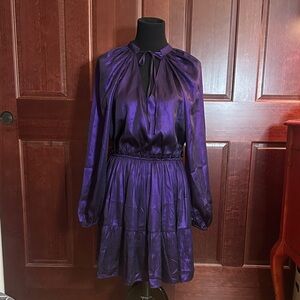 Stunning Iridescent Purple Women's Dress